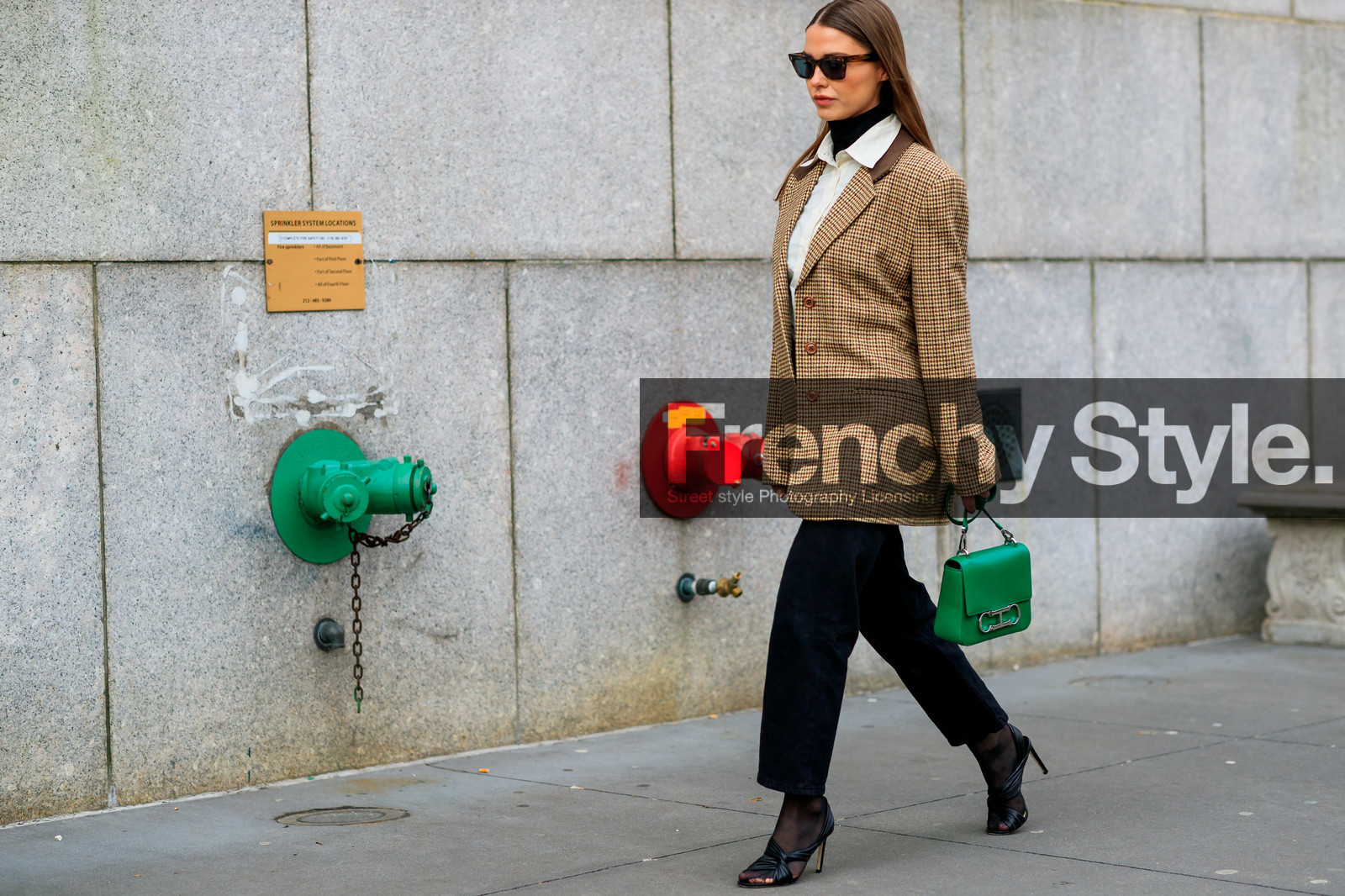 black pants, black shoes, blazer, brown jacket, carolina herrera, checked, graphic jacket, green bag, high heels, houndstooth pattern, leather bag, leather shoes, plaid, printed jacket, sophia roe, sunglasses, trousers, white shirt, street style, jonathan paciullo, frenchystyle, NYFW, NEW YORK, AUTUMN WINTER 2019-2020, AW 19-20, FALL WINTER 2019-2020, FW 19-20, FW, fashion week, atmosphere details, horizontal, detail