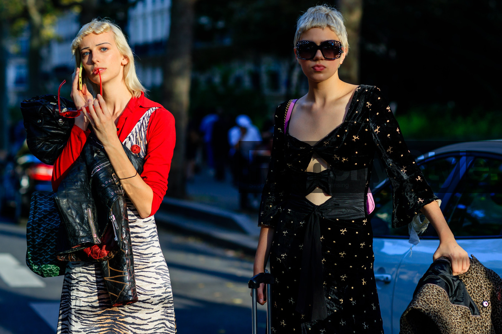 animal print, atmosphere details, black dress, detail, fashion week, frenchystyle, FW, golden details, graphic dress, horizontal, jonathan paciullo, model, PARIS, PFW, printed dress, red shirt, SPRING SUMMER 2017, SS 17, street style, sunglasses, zebra