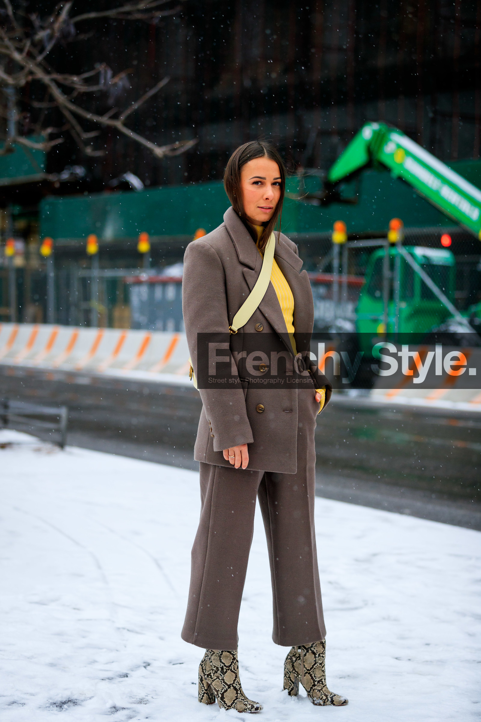 alice & j.s, animal print, beige bag, beige boots, blazer, brown jacket, brown pan, brown pants, brown suit, fendi, high heels, leather bag, leather shoes, snake print, trousers, yellow sweater, street style, jonathan paciullo, frenchystyle, NYFW, NEW YORK, AUTUMN WINTER 2019-2020, AW 19-20, FALL WINTER 2019-2020, FW 19-20, fashion week, FW, vertical, full length
