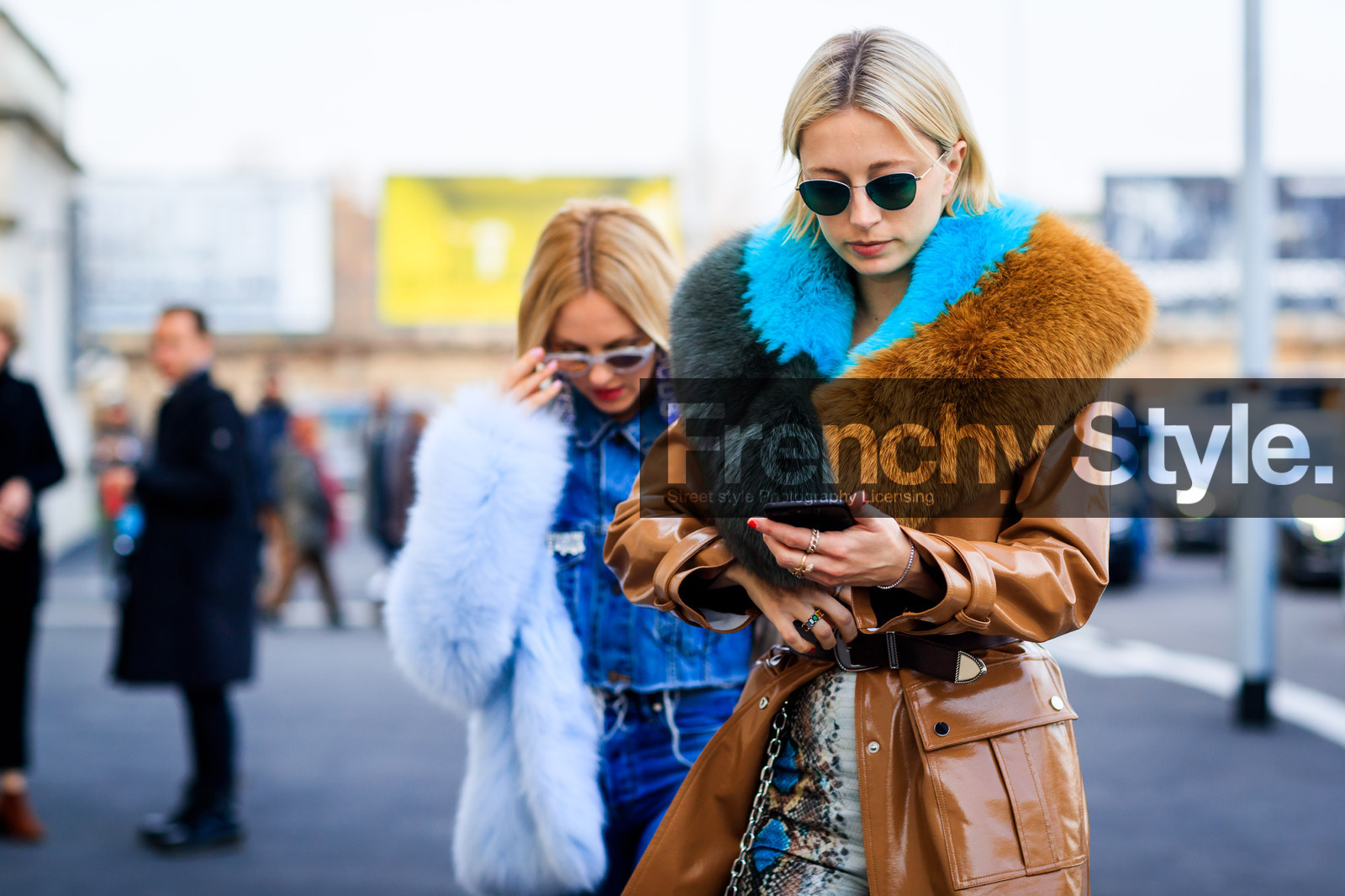 animal print, brown fur, camel coat, fur collar, green fur, leather coat, snake print, sunglasses, turquoise, fashion week, frenchystyle, FW, jonathan paciullo, street style, MFW, MILAN, AUTUMN WINTER 2018-2019, FALL WINTER 2018-2019, FW 18-19, horizontal, atmosphere details, caroline vreeland