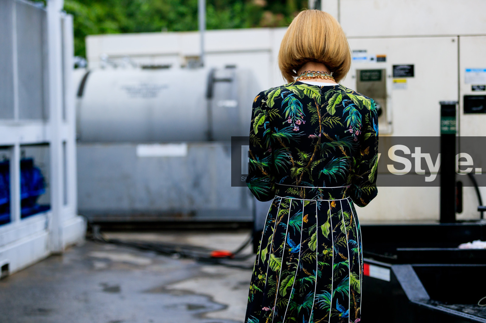 anna wintour, floral, graphic dress, green dress, necklace, printed dress, street style, jonathan paciullo, FW, frenchystyle, fashion week, NYFW, NEW YORK, SPRING SUMMER 2019, SS 19, atmosphere details, horizontal, detail