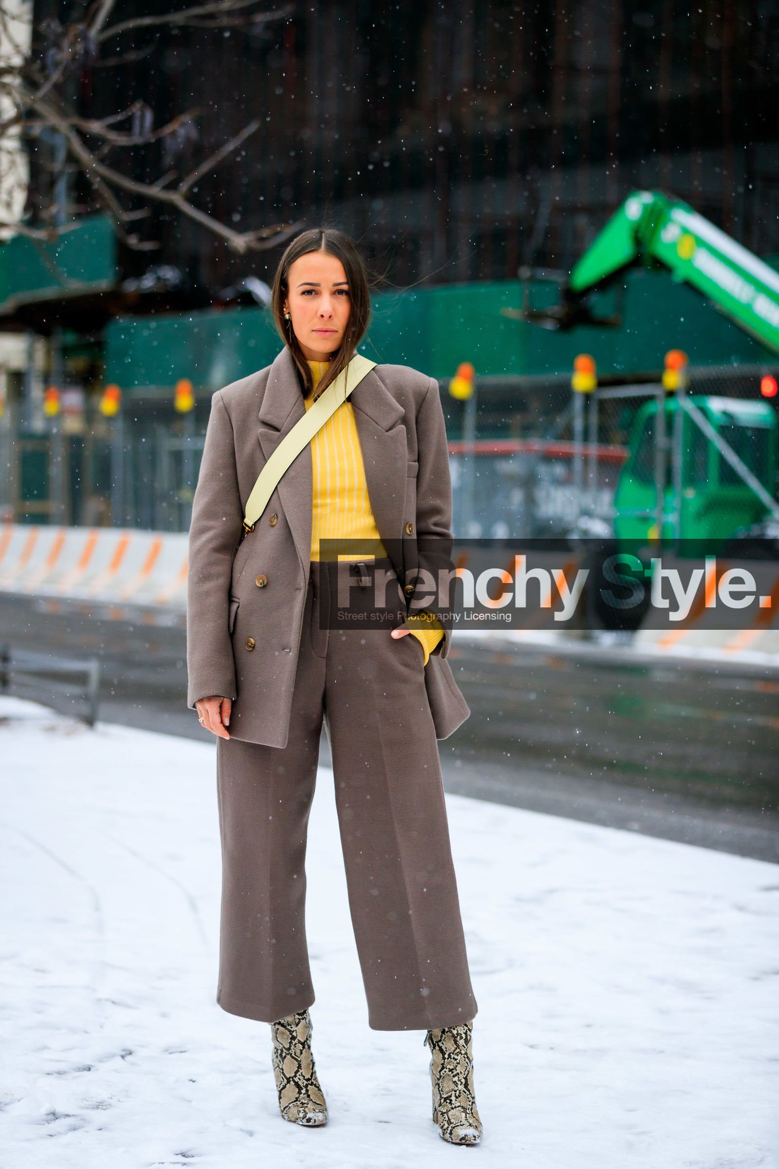 alice & j.s, animal print, beige bag, beige boots, blazer, brown jacket, brown pan, brown pants, brown suit, fendi, high heels, leather bag, leather shoes, snake print, trousers, yellow sweater, street style, jonathan paciullo, frenchystyle, NYFW, NEW YORK, AUTUMN WINTER 2019-2020, AW 19-20, FALL WINTER 2019-2020, FW 19-20, fashion week, FW, vertical, full length